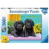 Ravensburger Puzzle Ravensburger Vida De Perritos Xxl 300 Piezas