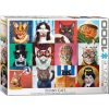 Eurographics Puzzle Eurographics Los Gatos Divertidos De Lucia Heffernan De 1000 Piezas