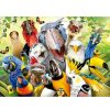 Puzzles Educa Puzzle Educa Mira Al Pajarito De 500 Piezas