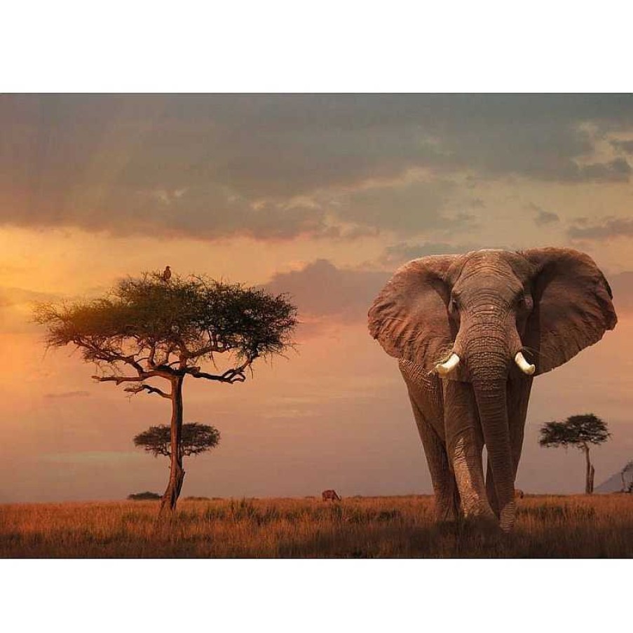 Ravensburger Puzzle Ravensburger Elefante De Los Masai Mara 1000 Piezas