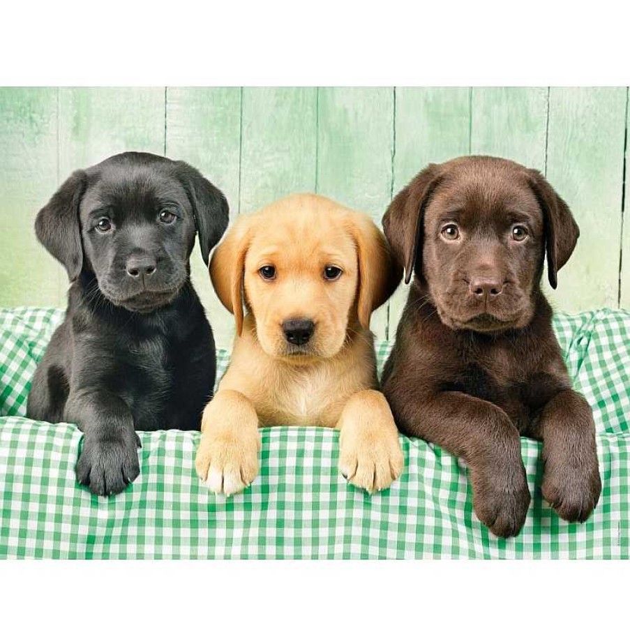 Clementoni Puzzle Clementoni Los Tres Labradores De 1000 Piezas