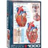 Eurographics Puzzle Eurographics El Coraz N De 1000 Piezas