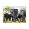 Puzzles Trefl Puzzle Trefl Elefantes Africanos De 1000 Piezas