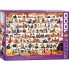 Eurographics Puzzle Eurographics Mascotas De Halloween De 1000 Piezas