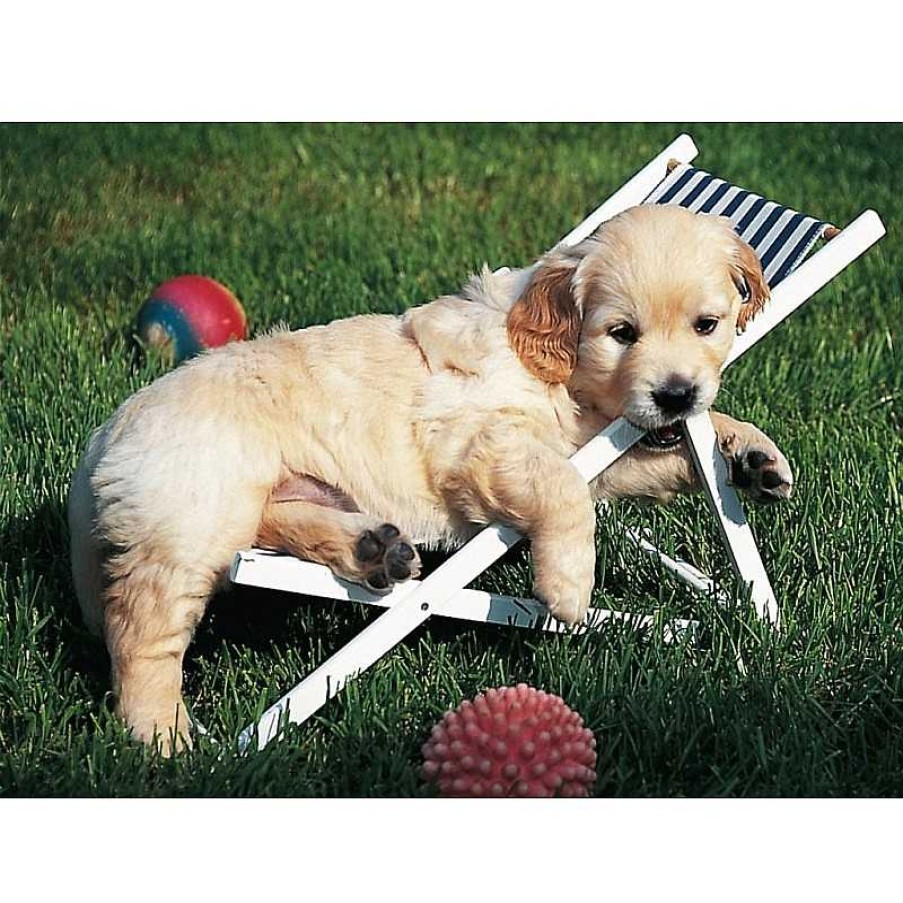 Ravensburger Puzzle Ravensburger Cachorro Golden Retriever De 500 Piezas