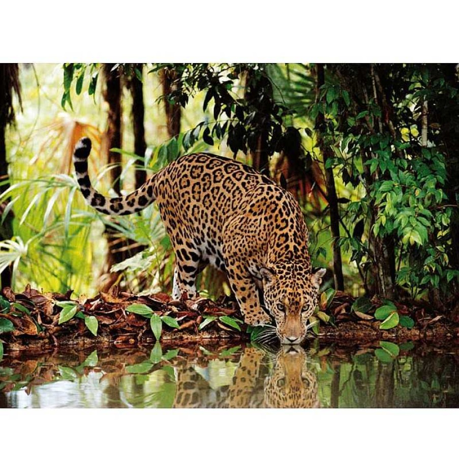 Clementoni Puzzle Clementoni Leopardo De 2000 Piezas