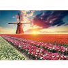 Puzzles Educa Puzzle Educa Paisaje De Tulipanes De 1500 Piezas