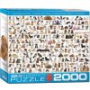 Eurographics Puzzle Eurographics El Mundo De Los Perros De 2000 Piezas