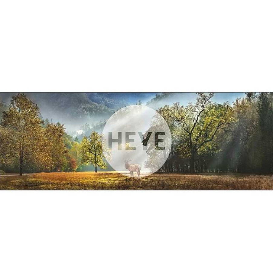 Heye Puzzle Heye Panor Mica Saludo Matutino De 1000 Piezas