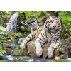 Puzzles Educa Puzzle Educa Tigres Blancos De Bengala 1000 Piezas