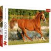 Puzzles Trefl Puzzle Trefl La Belleza Del Galope De 500 Piezas