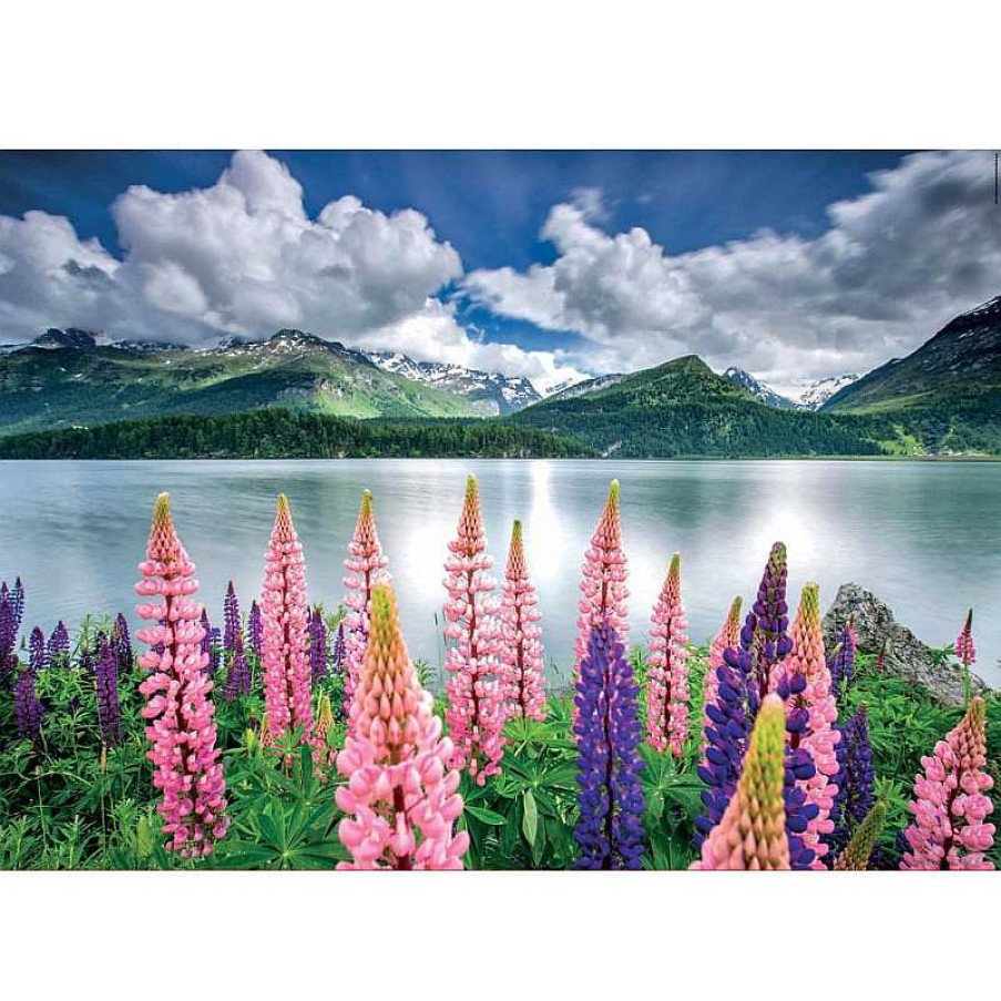 Puzzles Educa Puzzle Educa Altramuces A Orillas Del Lago Sils, Suiza 1500 Piezas