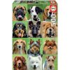 Puzzles Educa Puzzle Educa Collage De Perros De 500 Piezas