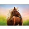 Puzzles Educa Puzzle Educa Caballo Al Amanecer De 500 Piezas