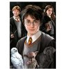 Puzzles Educa Puzzle Educa Harry Potter (Piezas Miniatura) De 1000 Piezas